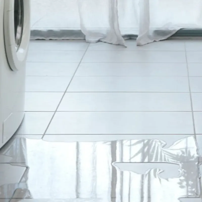 Appliance Leak Cleanup in Louisville, IL