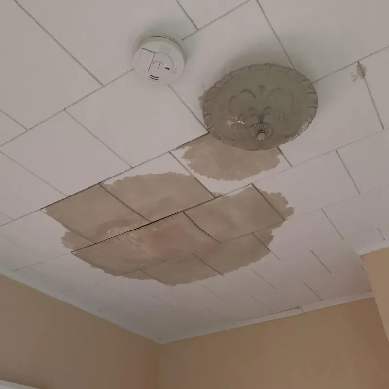 Ceiling Water Damage Repair in Louisville, IL