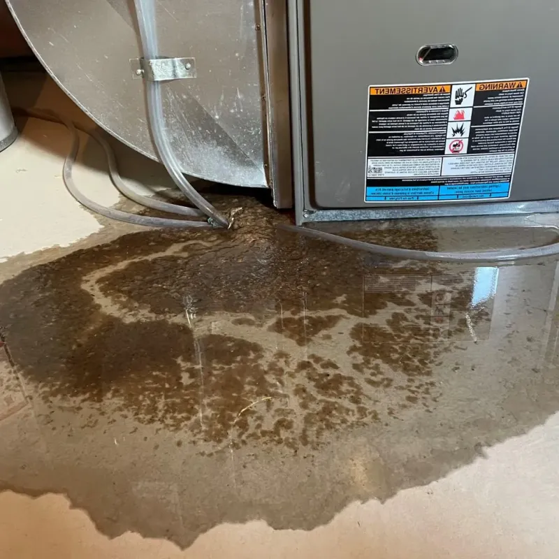 Pipe Burst and Leak Restoration in Louisville, IL
