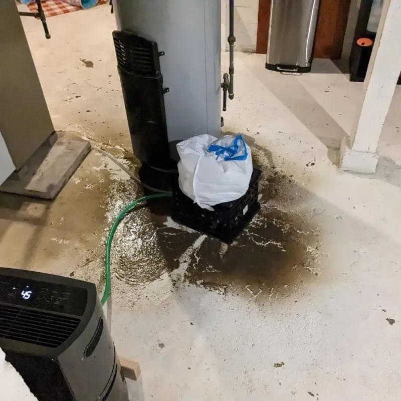 Sewage Backup Cleanup Service in Louisville, IL